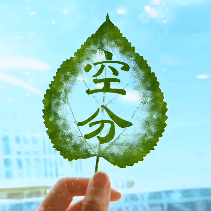 AI助手头像